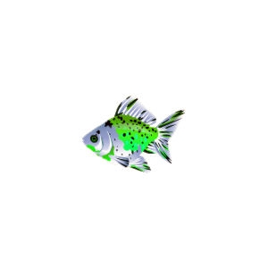 Green Calico Ryukin Goldfish